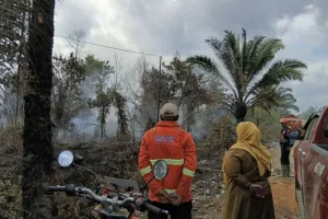 Karhutla Jadi Fokus, Pemkab Kotim Tingkatkan Upaya Pencegahan dan Penanganan.