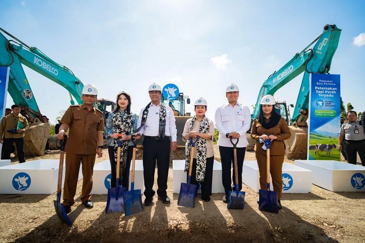 Mentan: Pemerintah Prioritaskan Produksi Susu Lokal