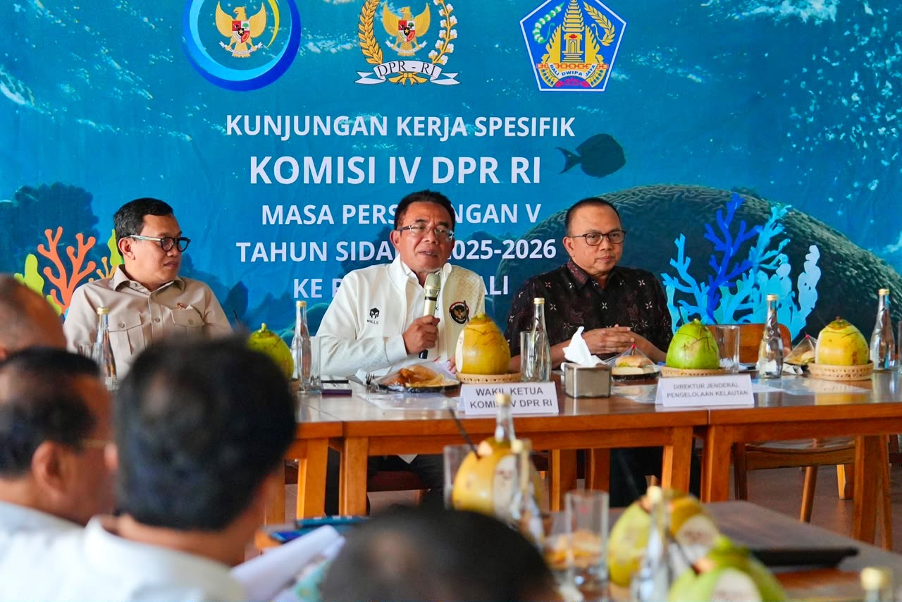 Program Konservasi Terumbu Karang di Bali Berhasil Serap ...