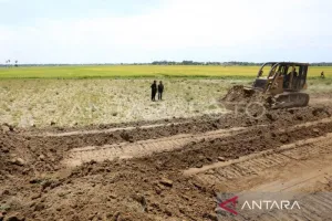 Sawah Rusak Dikebut Pulih, Pemerintah Jaga Produksi Pangan Aceh