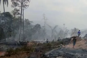 Cegah Kebakaran Hutan, Warga Lebak Diimbau Tak Bakar Ilalang