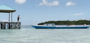 Dari Pesona Bawah Laut hing...