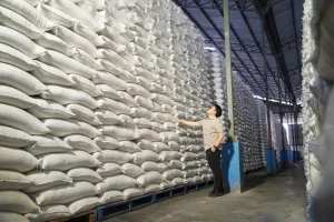 El Nino Bakal Lebih Panjang, Stok Aman, Ada Bantuan Pangan 997 Ribu Ton