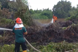 Karhutla Kapuas Kian Meluas, BPBD Catat 305,51 Hektare Lahan Terbakar.