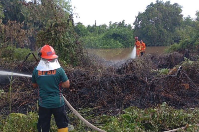 Karhutla Kapuas Kian Meluas, BPBD Catat 305,51 Hektare La...