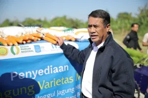 Kementan Beli Benih Jagung Hibrida ITS Rp10 Miliar untuk Tingkatkan Produksi Jagung Nasional