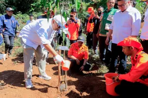 Pemkot Bandung Percepat Penghijauan Lewat “Program Rindu Rindang”