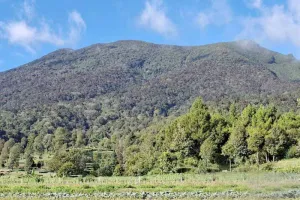 Perhatian! Pendaki Gunung Gede Pangrango Dilarang Keras Bikin Api dan Nyampah di Alun-alun Suryakancana, Ini Sanksi Pelanggarannya