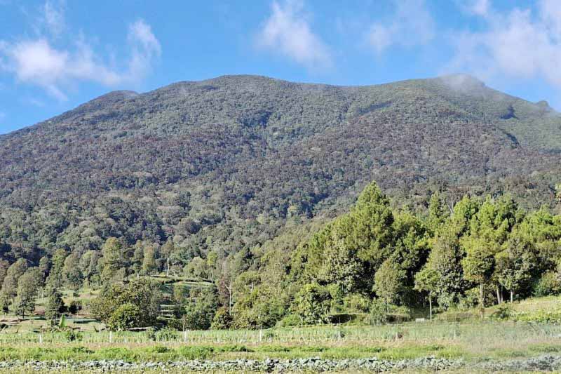 Perhatian! Pendaki Gunung Gede Pangrango Dilarang Keras B...