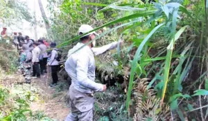 Perhutani Buat Pembatas Api Bila Terjadi Kebakaran di Lereng Gunung Lawu