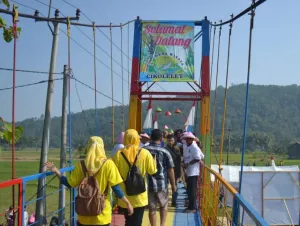 Serang Ubah Potensi Desa Jadi Mesin Ekonomi Lewat Program Desa Tematik