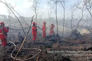 Hujan Redam Ancaman Karhutla, BPBD Catat Nol Hotspot di Sumatera Selatan.