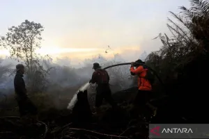 Kebakaran di Gunung Karanglo Ponorogo Telah Berhasil Dipadamkan