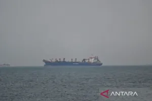 Serangan Houthi ke Kapal Tanker di Laut Merah, IMO Serukan Deeskalasi