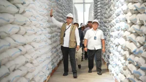 87% Tercapai! Bulog Optimistis Target CBP 4 Juta Ton Beres