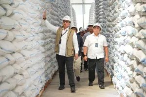 Perum Bulog Serap 3,5 Juta ...
