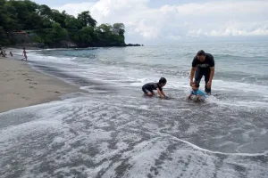 Sabtu, Cuaca Sebagian Besar Wilayah di Indonesia Berpotensi Cerah