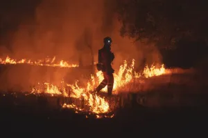 Spanyol Kewalahan Hadapi Kebakaran Hutan Terburuk Sepanjang Sejarah