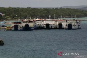 Cuaca Buruk, ASDP Batalkan Seluruh Pelayaran dari Kupang NTT