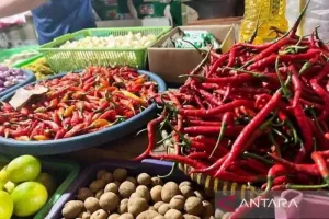 Harga Telur Ayam Rp29.600 Per Kg, Bawang Merah Rp42.150 Per Kg