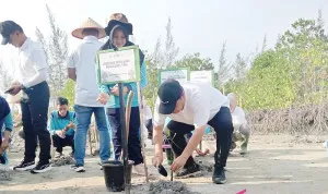 Hari Mangrove Sedunia 2026, Pemprov Babel Tanam 3.300 Bibit Mangrove di Bangka Tengah