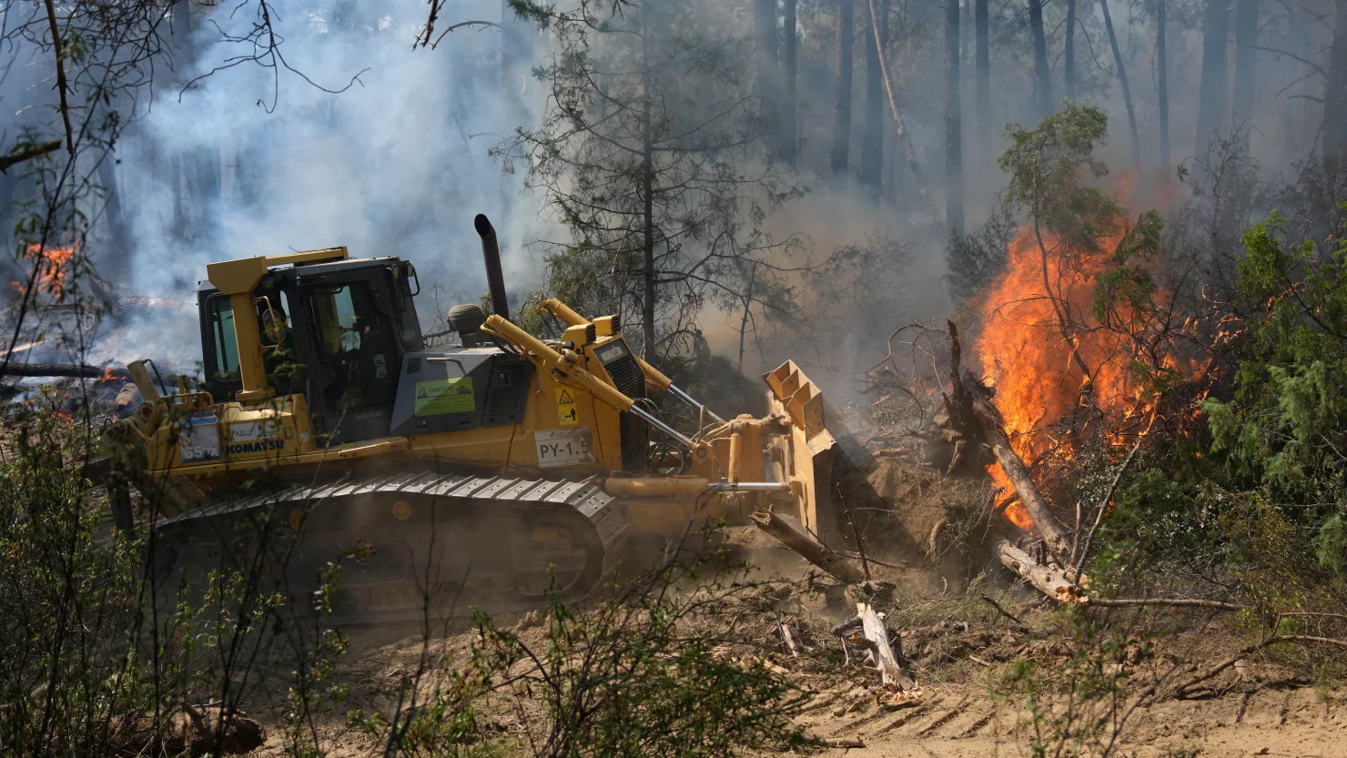 Kebakaran Hutan Prancis Belum Padam, 110.000 Orang Dipaks...