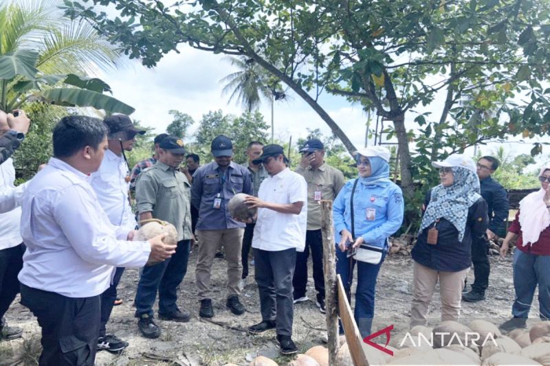 Kementan Bantu Bibit Kelapa untuk Petani Barito Kuala, Pr...