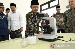 Pemerintah Siapkan Desain Besar Pemenuhan Guru Nasional