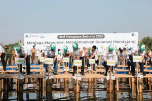Pemprov DKI Tanam 24.310 Mangrove di 5 Lokasi Pesisir Jakarta Utara