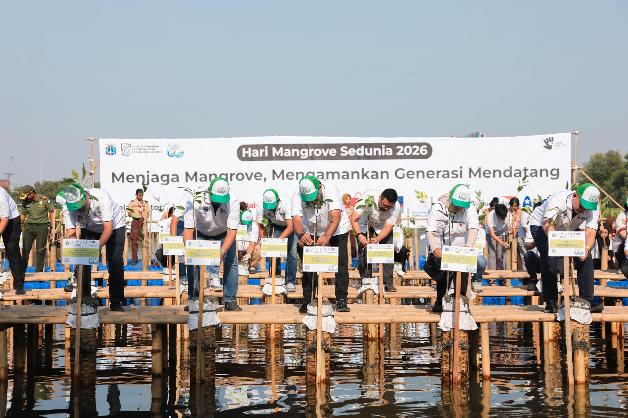 Pemprov DKI Tanam 24.310 Mangrove di 5 Lokasi Pesisir Jak...