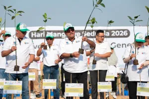 Peringati Hari Mangrove Sedunia, Pemprov DKI Tanam 21.060 Bibit Mangrove di 5 Wilayah Pesisir