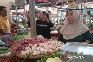 Sempat Turun, Harga Bawang ...