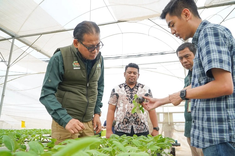 Bapanas Perkuat Standar Keamanan Pangan demi Tingkatkan E...