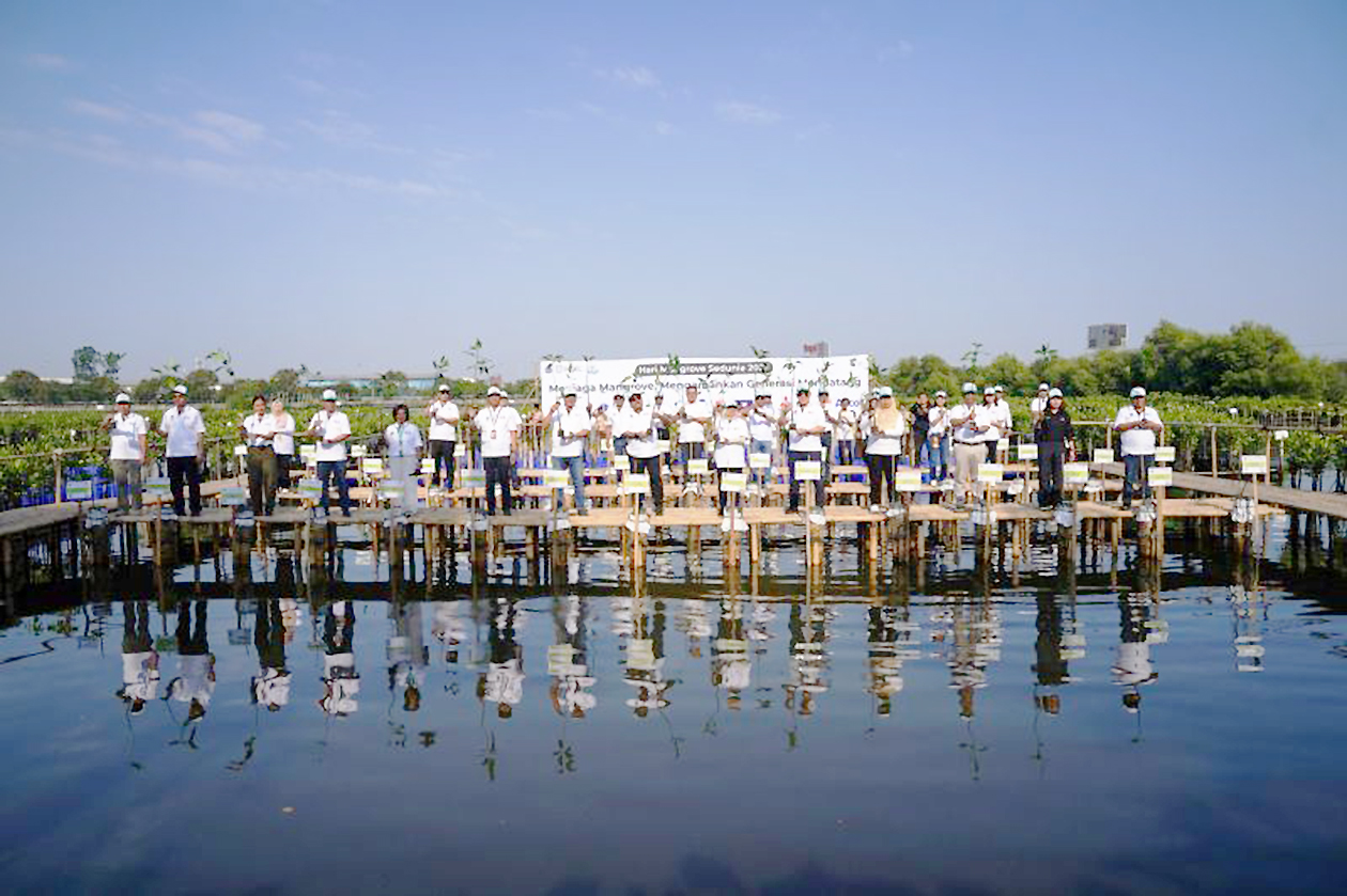 Cegah Abrasi Pesisir, Pemprov DKI Tanam Puluhan Ribu Bibit Mangrove Sepanjang 2026!