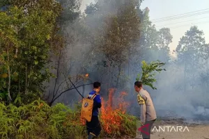Dua Bencana di Situbondo Berhasil Diatasi, BNPB Pastikan Karhutla dan Angin Kencang Terkendali.