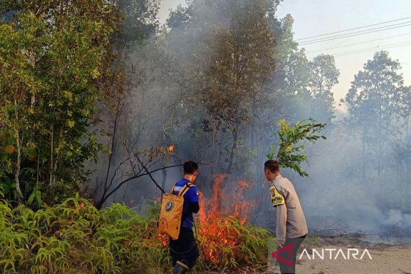 Dua Bencana di Situbondo Berhasil Diatasi, BNPB Pastikan ...