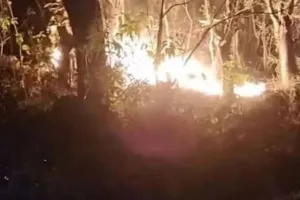 Dua Hektare Hutan Bacukiki Parepare Terbakar, BPBD Sulsel Tingkatkan Pengawasan Karhutla.