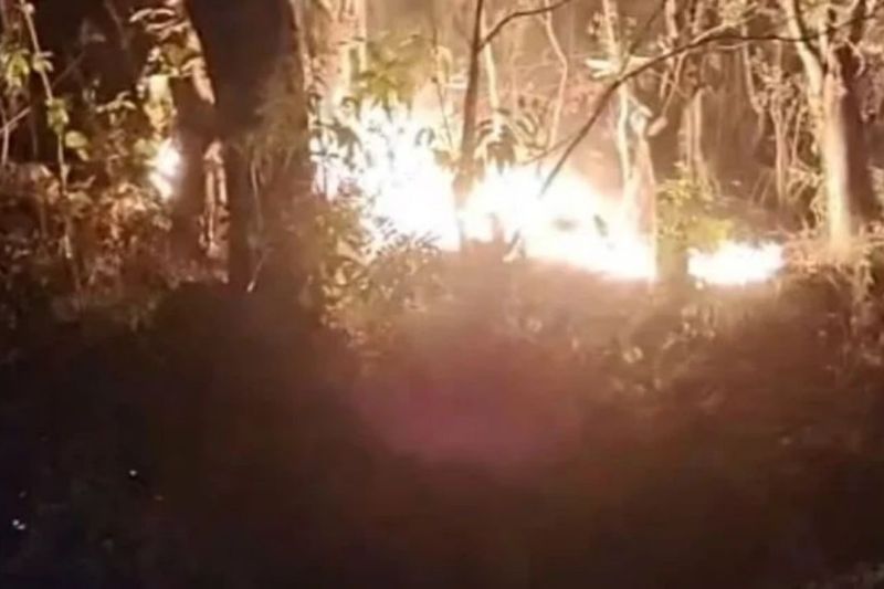 Dua Hektare Hutan Bacukiki Parepare Terbakar, BPBD Sulsel...
