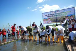 Hadapi Ancaman Perubahan Iklim, Pemprov Sulsel Perkuat Kolaborasi Jaga Ekosistem Mangrove.