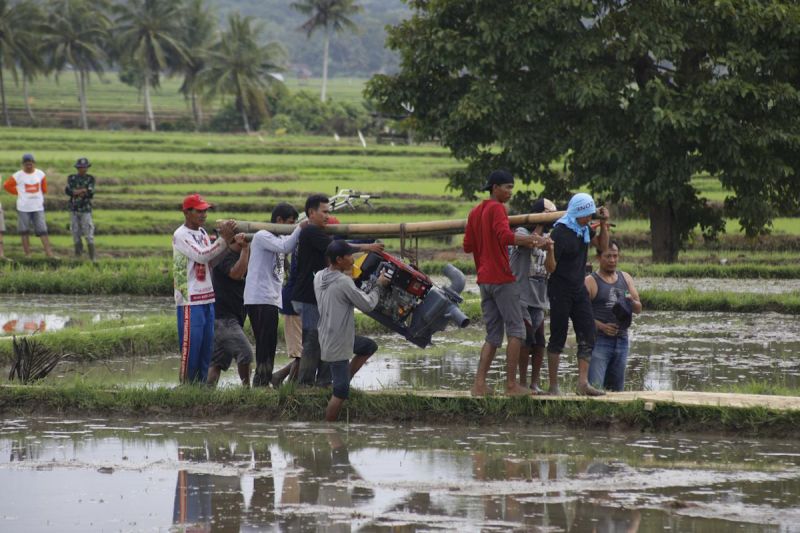 Jaga Produksi Pangan Nasional, Kementan Siapkan 56 Ribu P...