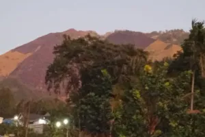 Karhutla Gunung Ringgit Probolinggo Meluas, BPBD: Lahan Terbakar Capai 4,5 Hektare.