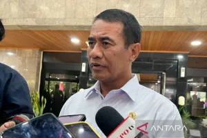 Mentan Amran: Harga Ayam dan Telur Peternak Mulai Pulih Berkat Kebijakan Stabilisasi.