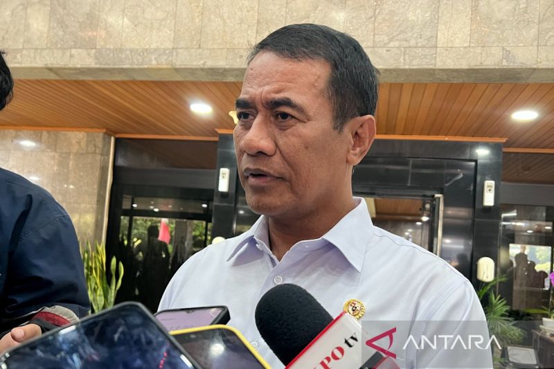 Mentan Amran: Harga Ayam dan Telur Peternak Mulai Pulih B...