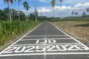 Pastikan Rantai Pasok Pangan Lancar, Kementerian PU Dorong dengan Program Inpres Jalan Daerah