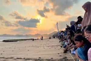 PT Pertamina Patra Niaga Jaga Ekosistem Laut dengan Lestarikan Penyu di Kabupaten Malang