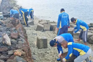 Tanggul Laut yang Roboh di ...