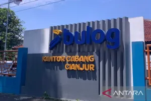 Bulog Cianjur Terus Lakukan...