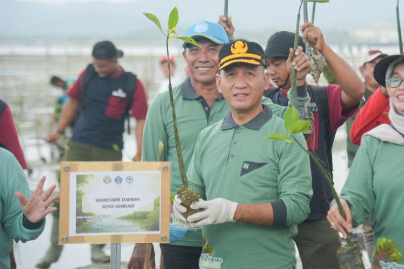 Cegah Abrasi Wilayah Pesisir, Pemkot Kendari Tanam 1.000 Mangrove