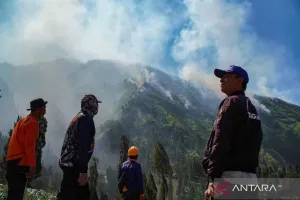 Kebakaran di Gunung Ringgit Sudah Padam, BPBD Probolinggo Tetap Siaga 
