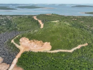 Perambahan Hutan Lindung di Batam, Gakkum Kemenhut Tetapkan PT GTP Tersangka Korporasi 